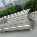 Organic Fruit Wash Automatic Fruit Washing thumbnail-1