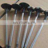 C6207414130 Engine Intake Valve Cum-mins Diesel Engine Model B3.3 thumbnail-3