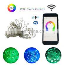 Halloween Hanging Light Wedding Decoration Copper Wire LED Fairy String Lights For Events APP Control