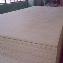 Birch Faced Plwood for High Quality Furniture thumbnail-2
