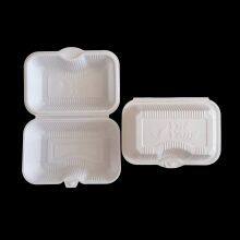 CT5 Factory Customize Disposable Hinged Lid Clamshell Blister Food Container for Buger Noodles thumbnail-3