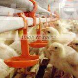 Automatic Poultry Nipple Drinking System
