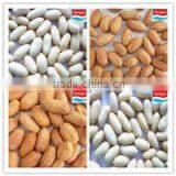 long type blanched peanut kernels/ peanut kernels