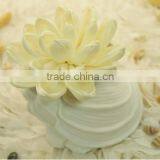 120ml Ocean Breeze Scents Ceramic Bottle With Paper Sola Flower Diffuser for Home Decoration