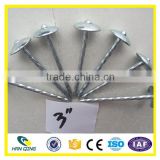 Roofing Nail factory 3 inch electro galvanized twisted shank
