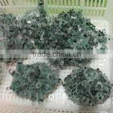 Decorative Natural Green Phantom Quartz Crystal Clusters thumbnail-4