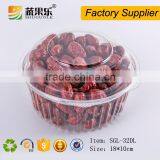 High Quality PET Disposable Plastic Cake Container Box thumbnail-4