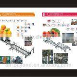 Complete Date Fruit Juice Processing Line thumbnail-1