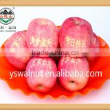Fresh organic red Fuji apple