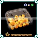 Custom disposable fast food container fast food blister pack