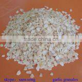 Hot Sell Chinese Natural Garlic Granule