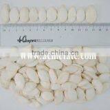 High Quality Shandong Pumpkin Seeds