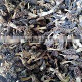 Black Morel Mushroom Market Price Dried Morel Mushroom Magic Mushrooms Dried thumbnail-2
