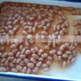 Canned White Kidney Beans(baked beans) in tomato sauce