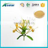 what is honeysuckle extract honeysuckle extract for sale