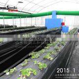 Automatic Coal Heating Machine Used in Poultry House, Greenhouse, Industry thumbnail-5