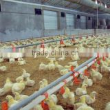 2015 hot sale Professional chicken farm project poultry farming equipment for sale