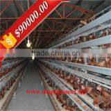 Design Automatic Equipment A Type Chicken House in Poultry Farm