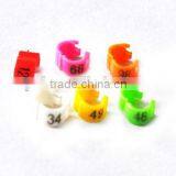 Bright Color WITH ENGLISH LETTER ON THE RINGS Made in China thumbnail-4