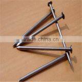 Fastener Manufacturer Corrugated Iron Nail thumbnail-6