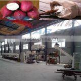 Providing Technology Responsible Install Sweet Potato Processing Machine thumbnail-1