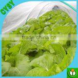 Insect Killer Fruit Tree Netting Basket With Net Cover thumbnail-2