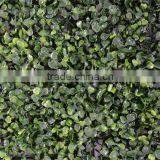 Guangzhou SHengjie Fireproof Milan Grass for Grass Wall Decoration thumbnail-3