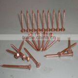 Hot Copper Nails thumbnail-1
