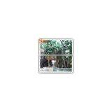 High Quality Decorative Artificial House Tree thumbnail-3