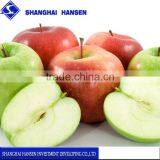 Import Agent of Chile's Apple Import Agency Service