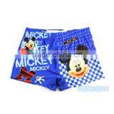 Kids Little Boys Cute Cartoon Bathing Swimming Beach Shorts Pants~Children's Swim Boxer Underwear Trunks~Accept Custom thumbnail-1