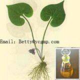 Ursolic acid-China hot-selling plant extract