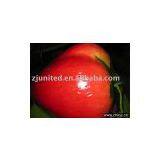 Artificial Fruits .Fake Fruits ,artificial Crafts .artificial Decorations,imitate Fruit thumbnail-1