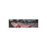 GYXTY of Outdoor Fiber Optical Cable thumbnail-2