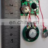 small recording craft music sound chip device