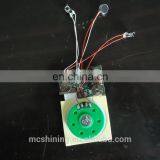 Custom Human Body Insdution IC Chip