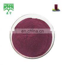 Water Soluble Acai Berry Fruit Powder for Juice Usage