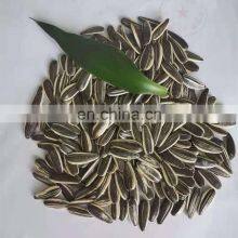 Wholesale Cha Cha Roasted Sunflower Seeds Snacks Peeled Best Quality Inner Mongolian Sunflower Kernel Crop 2020 From CN thumbnail-2