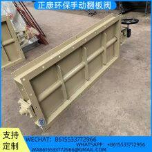 Manual Flap Valve thumbnail-2