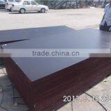 Film Faced Bamboo Plywood thumbnail-1