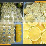 Leader Kiwi Fruit Cutter With CE&ISO thumbnail-5