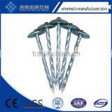 Hot Sell High Quality Twisted Umbrella Roofing Nails With Washer From Factory in China