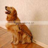 Factory OEM PVC Command Collars Dog thumbnail-6