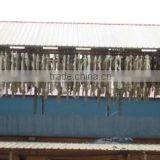 Qinyang Xingyue Industry Co., Ltd. company overview - view 3 thumbnail