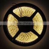 Warm White 120led/s 3528 2700k Led Strips 5m/roll Made in Shenzhen thumbnail-4