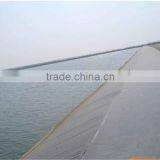 Good Sale Cheap Hdpe Sewage Geomembrane for Waterproof thumbnail-5