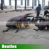 Insect Model Beatles for Sale thumbnail-4