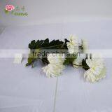 BJ016 5 Heads White Big Chinese Chrysanthemum Flower for Home Decoration thumbnail-3