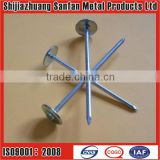 BWG8x2.5 inch roofing nails with umberella head