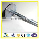 Smooth Shank Roofing Nail High Quality Made in China thumbnail-2